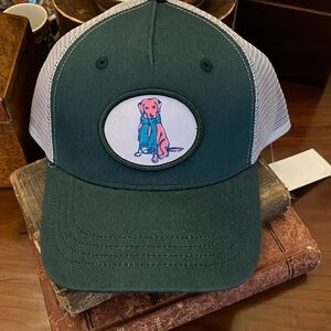 Daniel Cremieux Dog with Scarf  Hat New